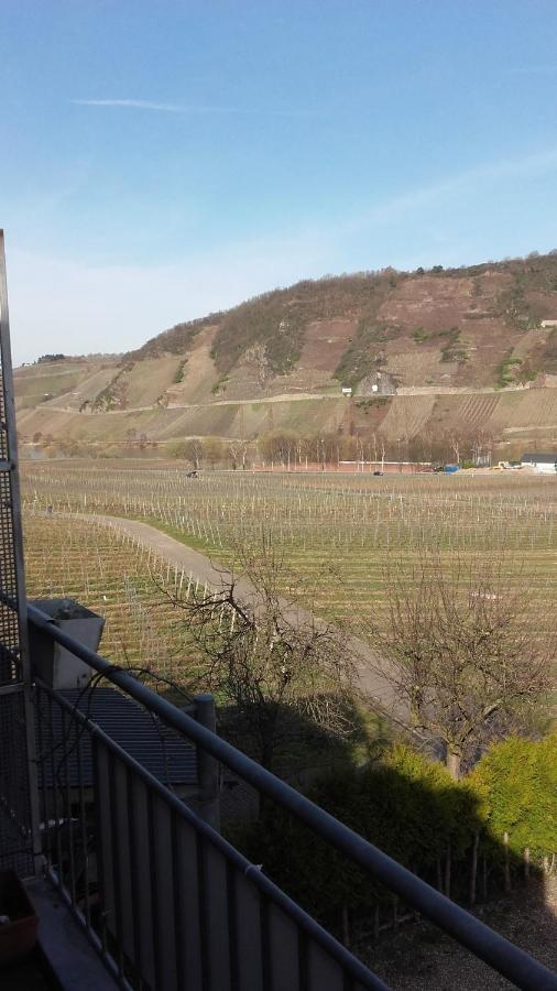 Gaestehaus Moselblick Trittenheim Exteriör bild