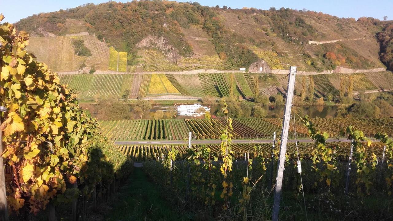 Gaestehaus Moselblick Trittenheim Exteriör bild