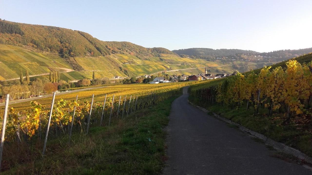 Gaestehaus Moselblick Trittenheim Exteriör bild
