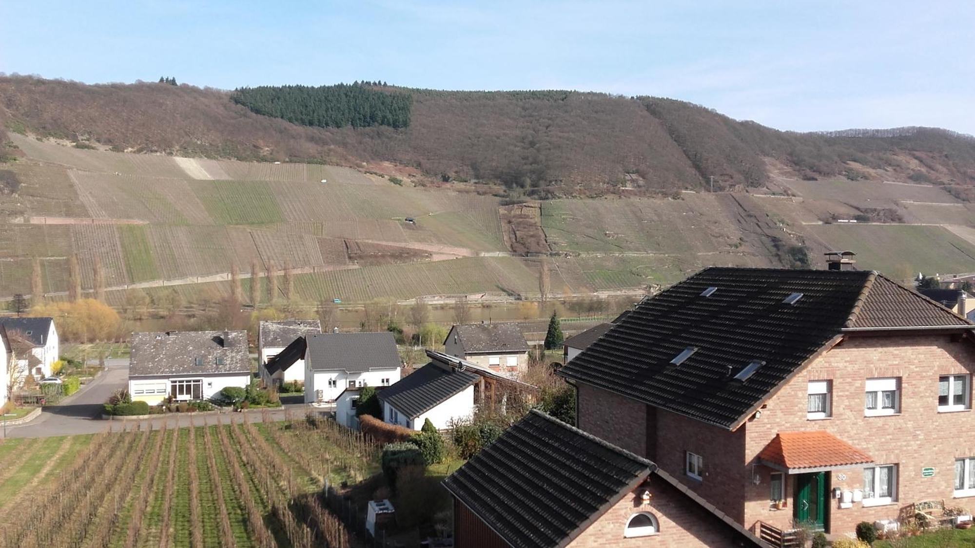 Gaestehaus Moselblick Trittenheim Exteriör bild